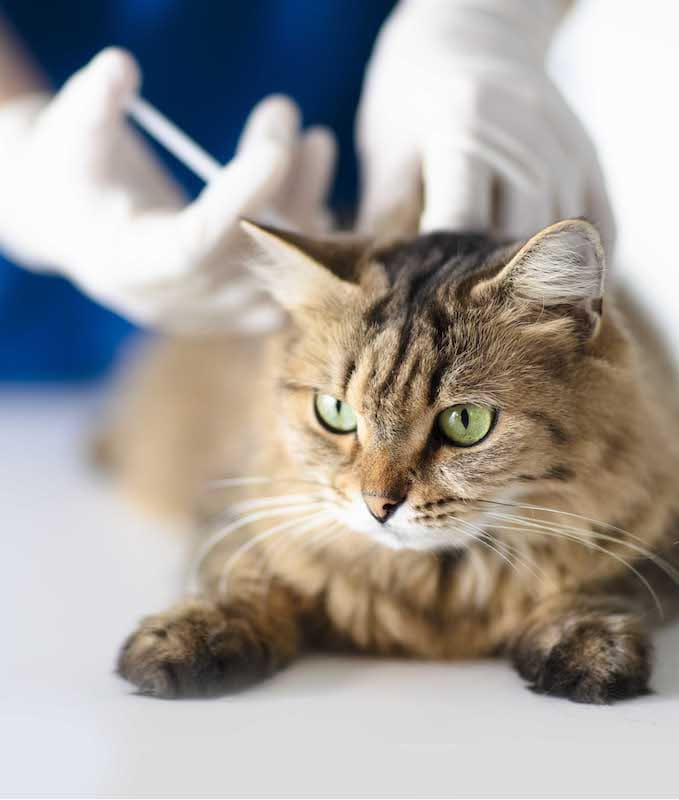 Nursing Care